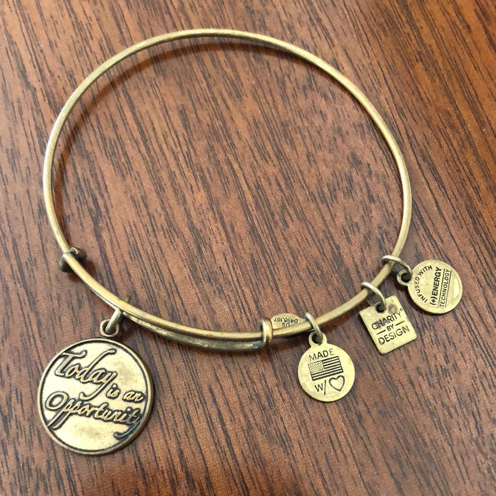 NWT Alex and Ani Women's Today Is An Opportunity charms Bangle Bracelet